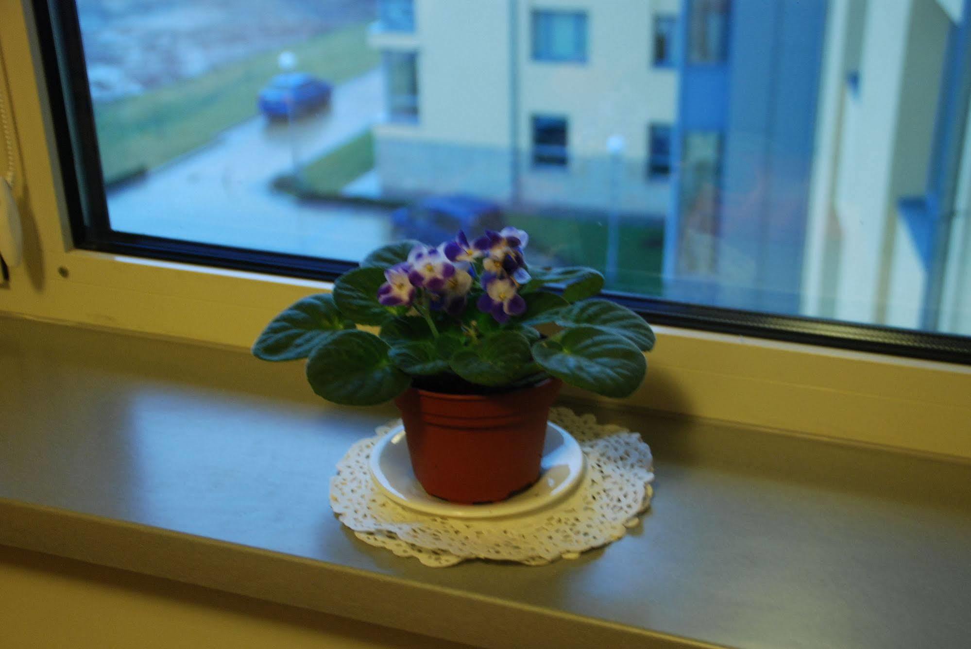 Ucu Inn - Кімнати Для Гостей Lviv Buitenkant foto